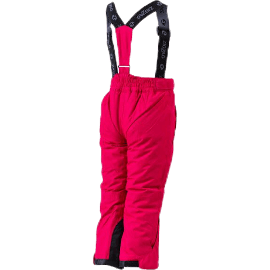 Provo Skihose W-PRO 10.000 Lila