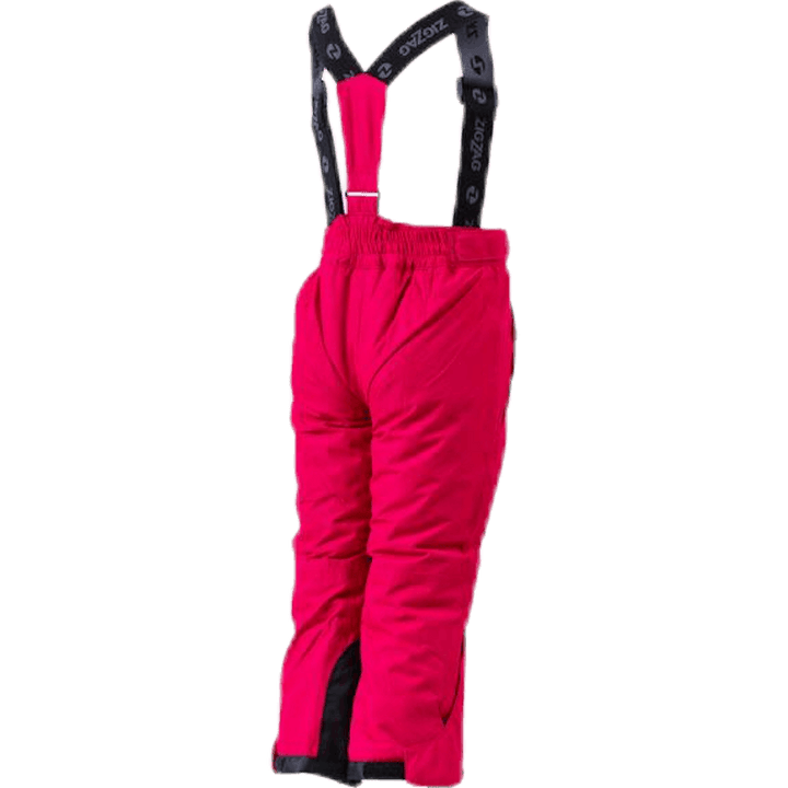 Provo Skihose W-PRO 10.000 Lila