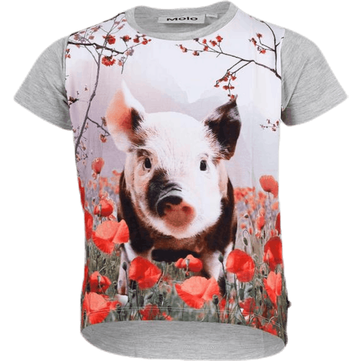 Riša sivēns Pelēks
