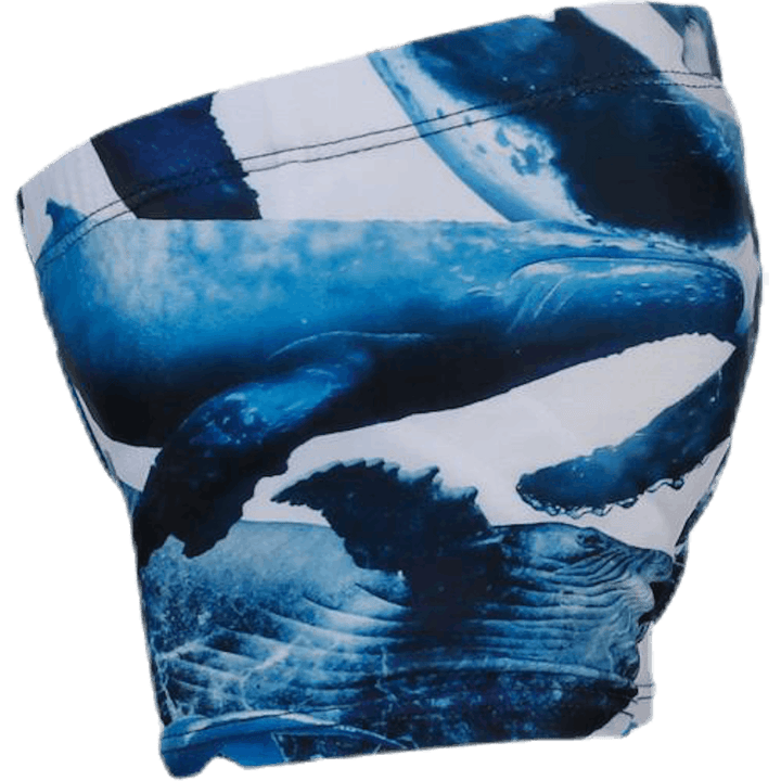 Pañal de natación Nansen Azul