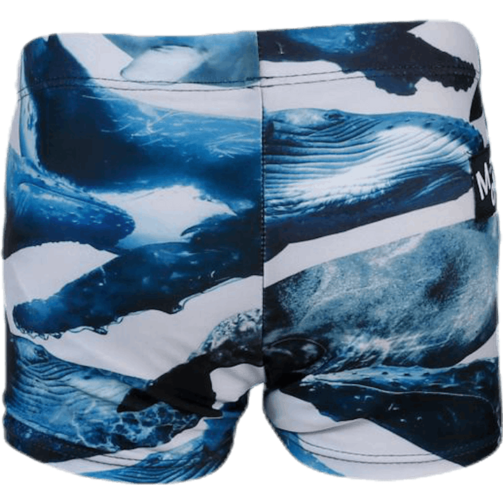 Pañal de natación Nansen Azul