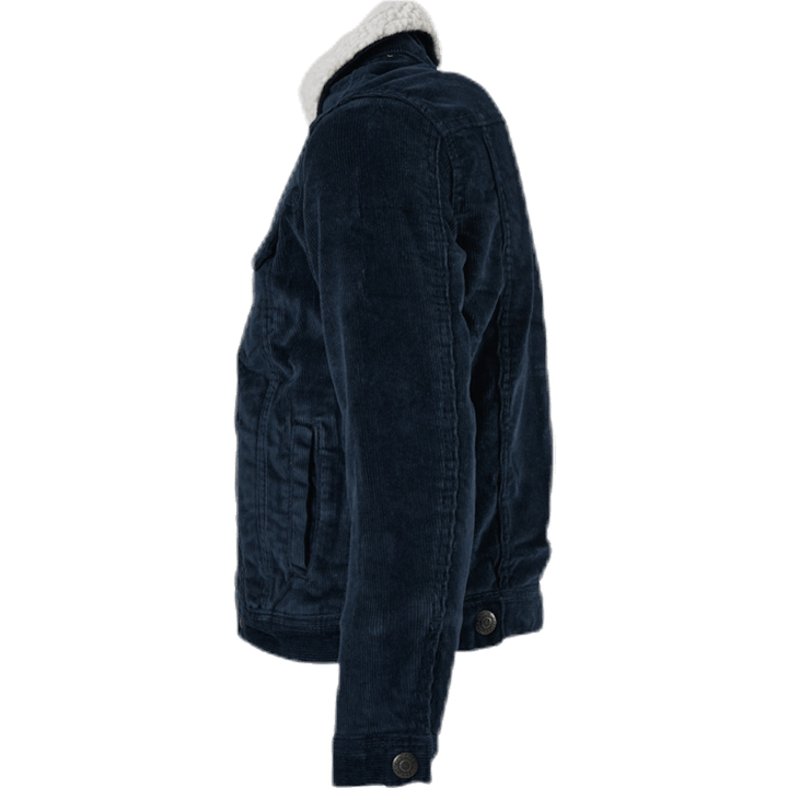 Alvin Sherpa Velours Côtelé Akm555 Junior Bleu