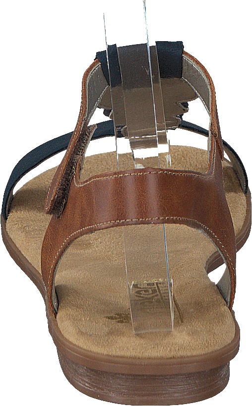 64278-16 Pacifique/Amaretto