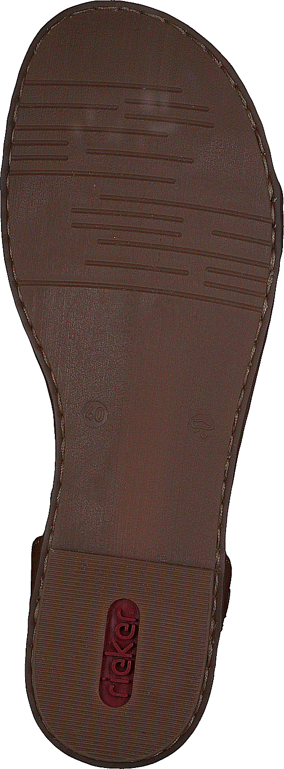 64278-16 Pacifique/Amaretto
