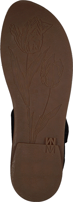 Tulipán Ibón Negro