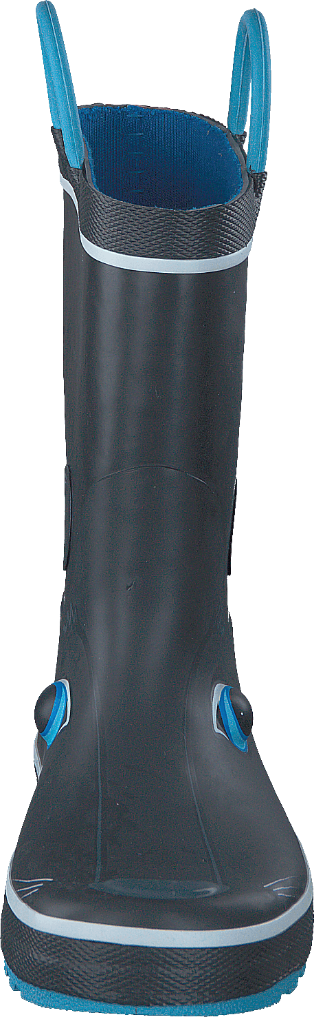 Panthère noire