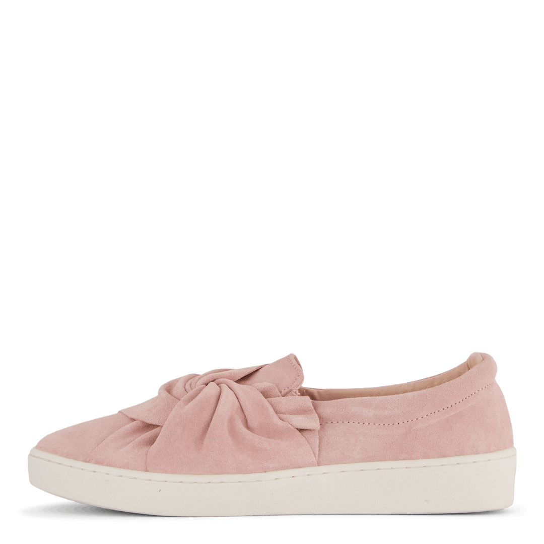 73-41854 Rosa