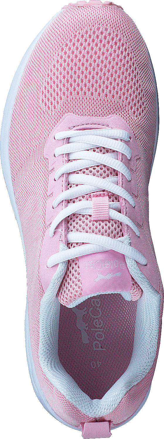 435-3410 Pink