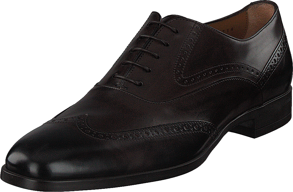 Kensington_oxfr_bubg Dunkelbraun