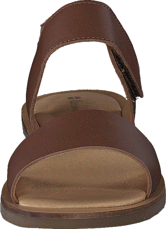 Tulipano Cuero
