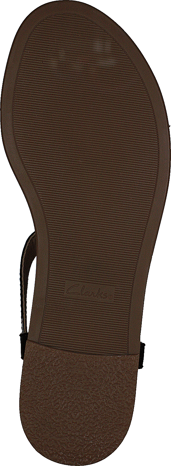 Bay Blossom Black Pat