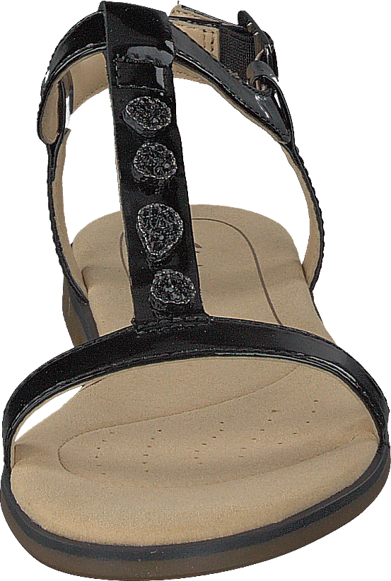 Bay Blossom Black Pat