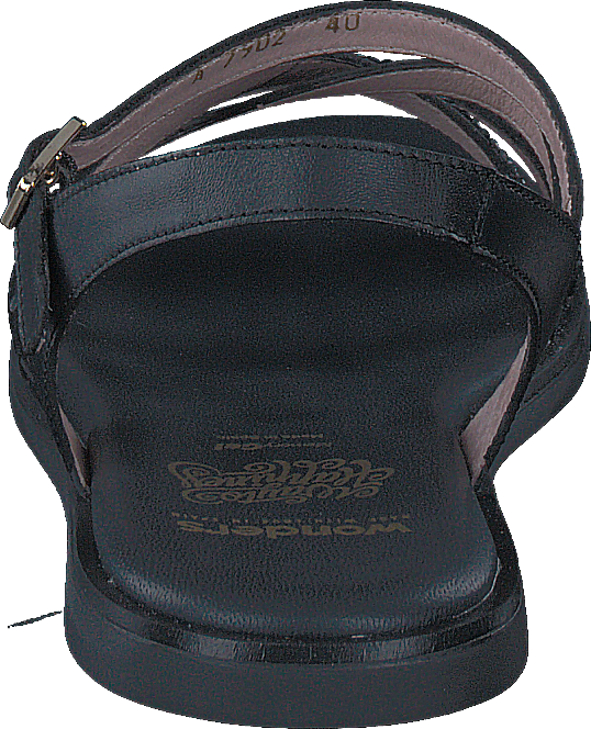 Crosta Negro Pergamena Negro