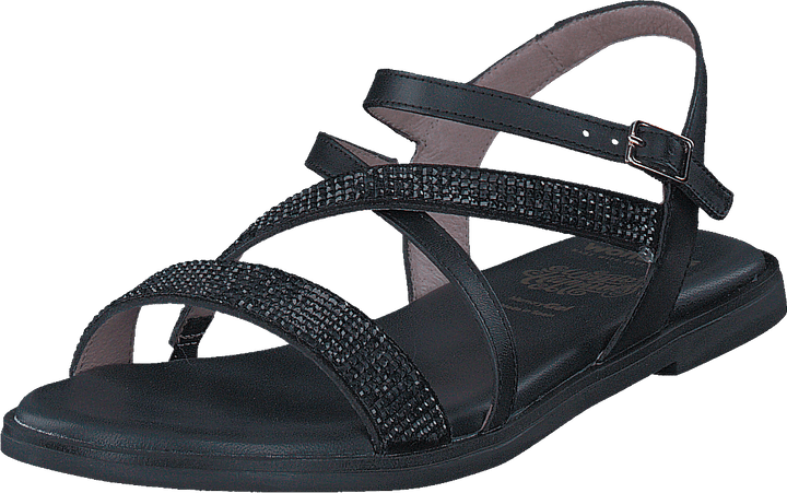 Crosta Negro Pergamena Negro