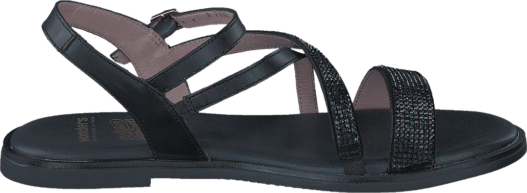 Crosta Negro Pergamena Negro