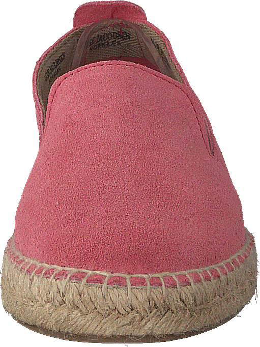 Dhalia2010-a Coral Blush
