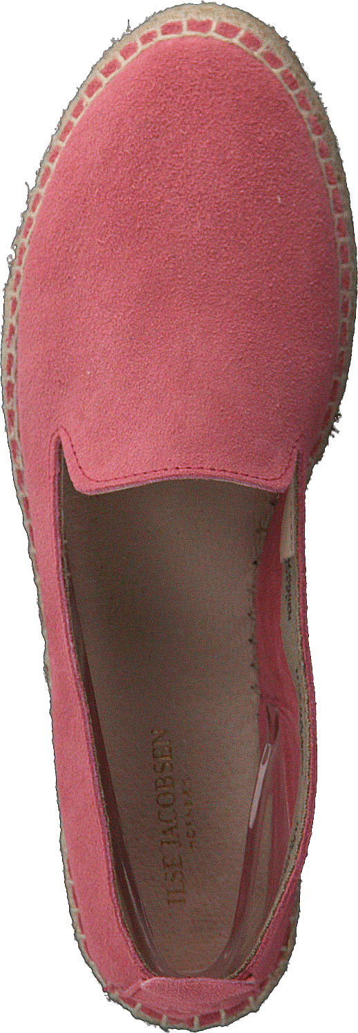 Dhalia2010-a Coral Blush