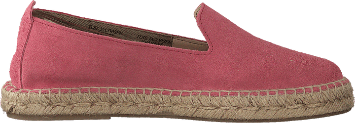 Dhalia2010-a Coral Blush