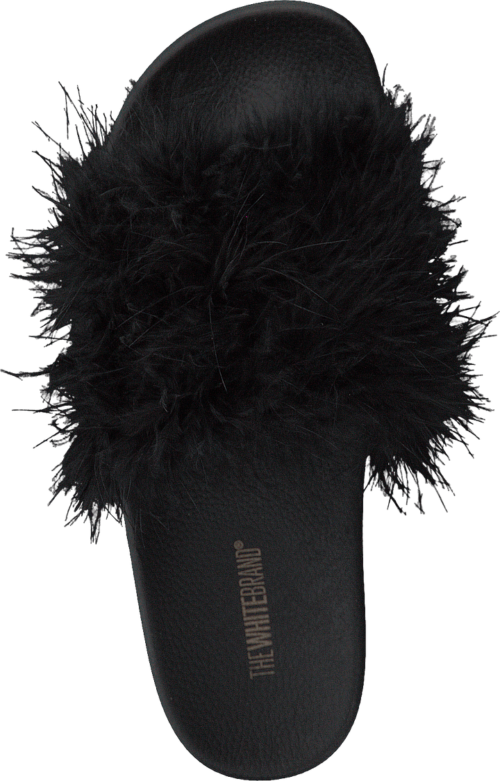 Penas Preto