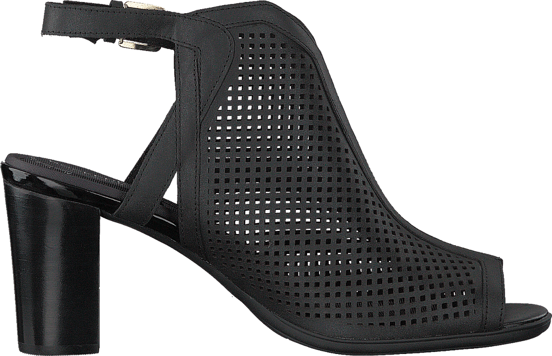 Tm Trixie Perf Shoot Schwarz