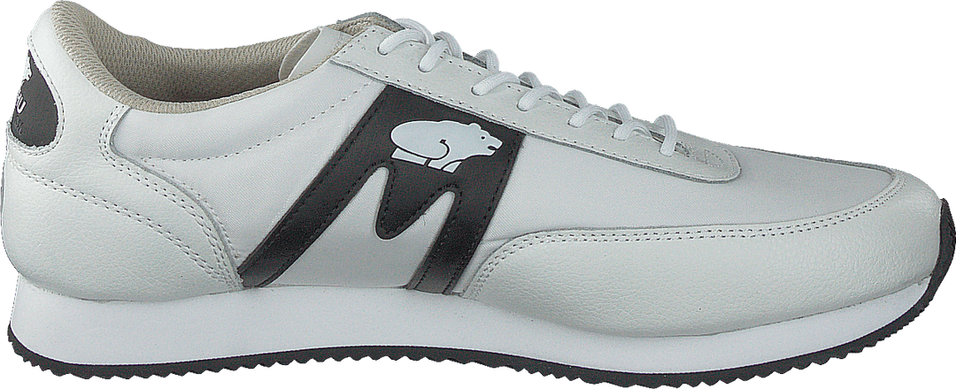 Albatros Bianco - Nero