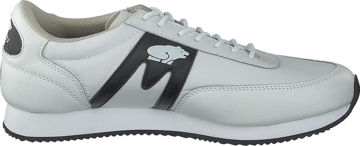 Albatros Bianco - Nero