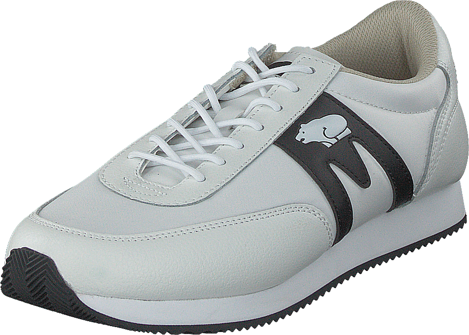 Albatros Bianco - Nero