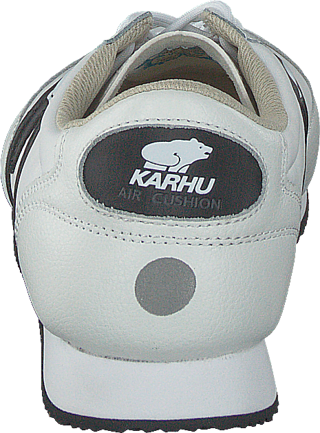 Albatros Bianco - Nero