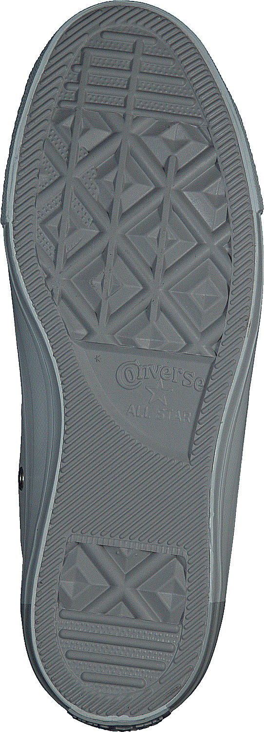 Chuck Taylor All Star Platino Puro/Gris Lobo