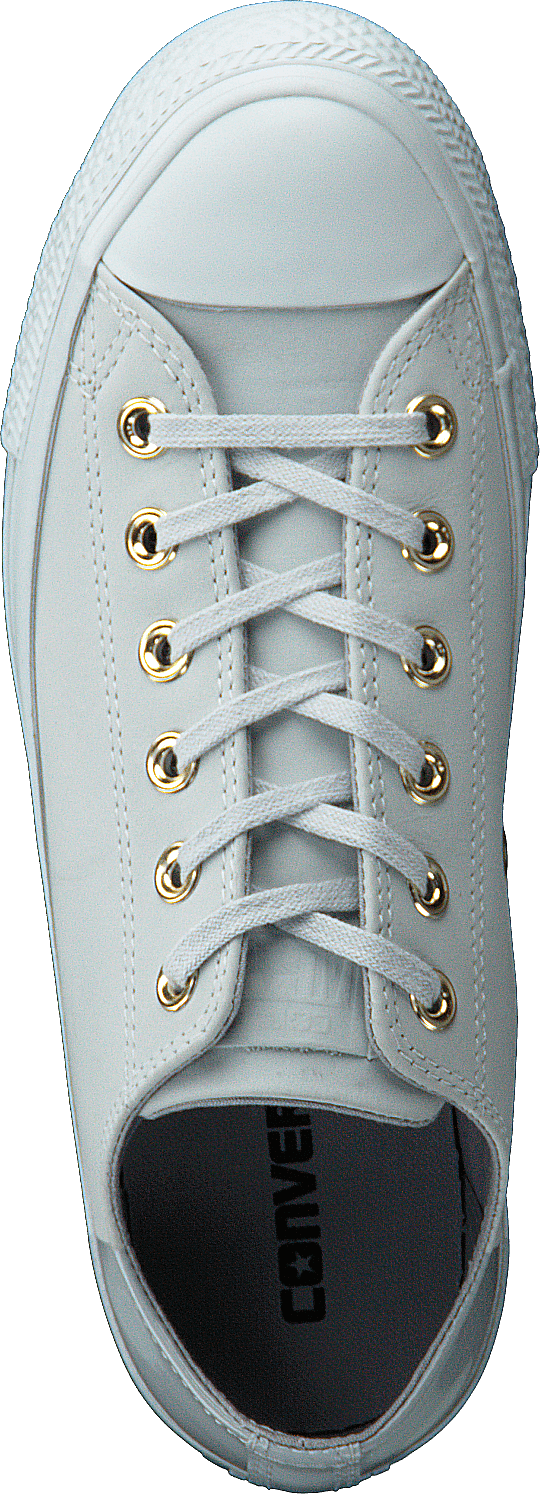 Chuck Taylor All Star Platino Puro/Gris Lobo