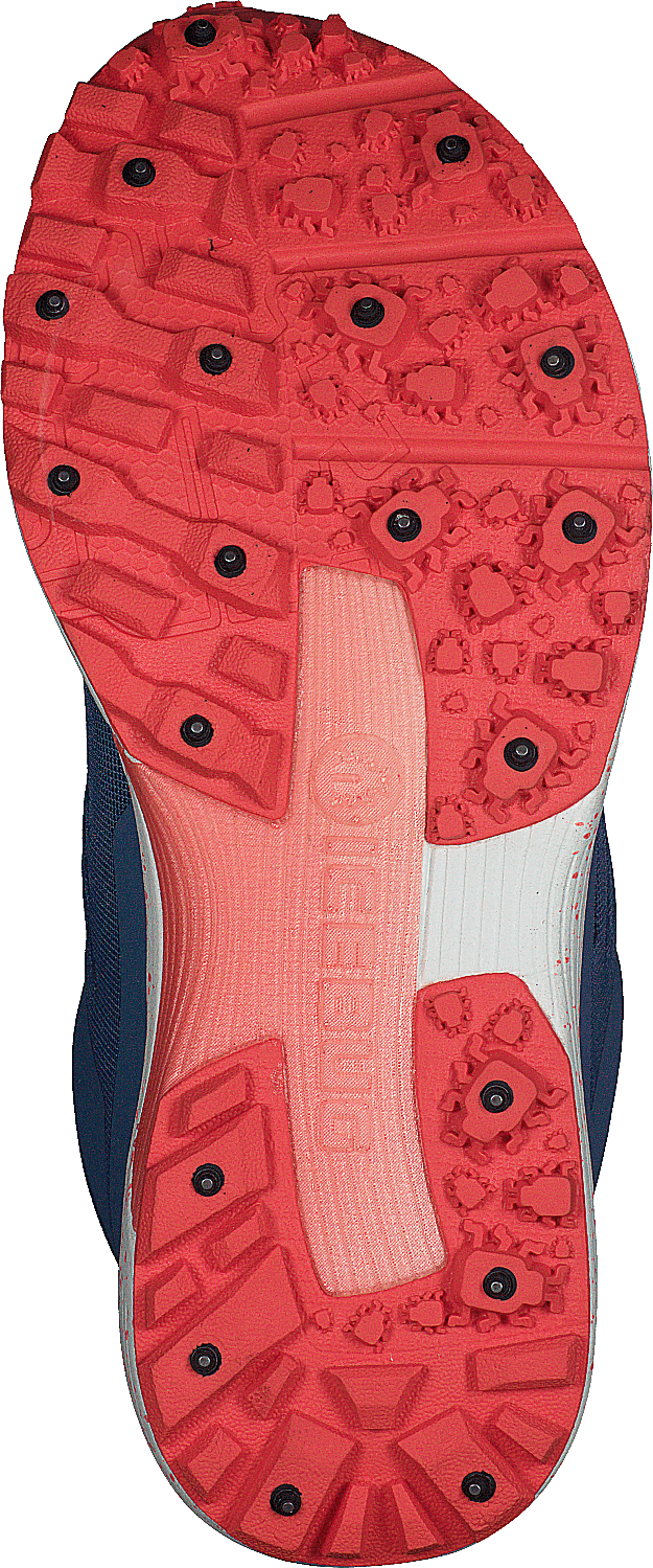 Dts4 W Bugrip® Pluie/corail