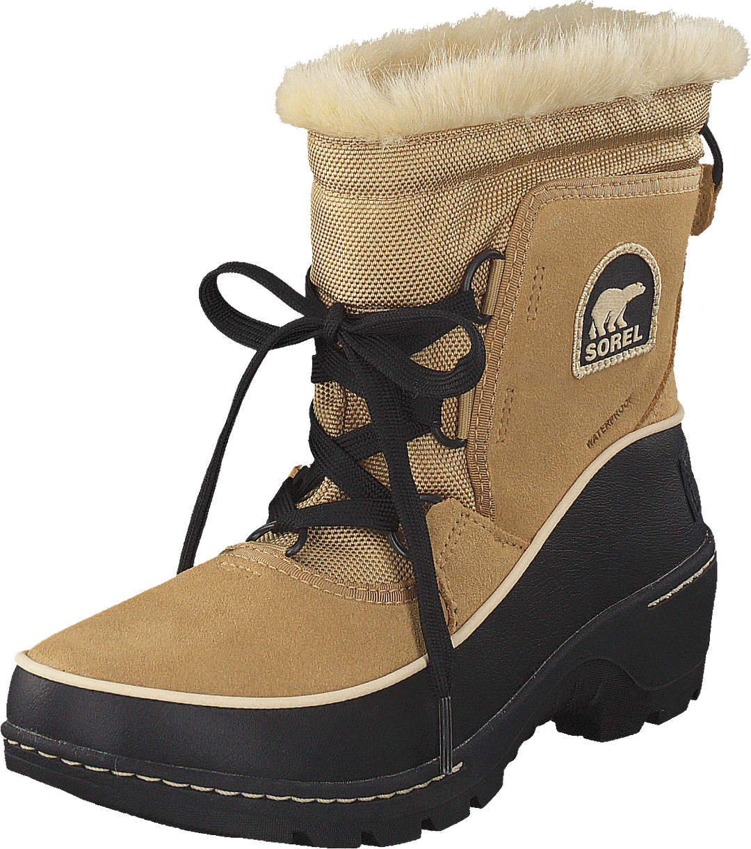 Torino 373 Curry Black