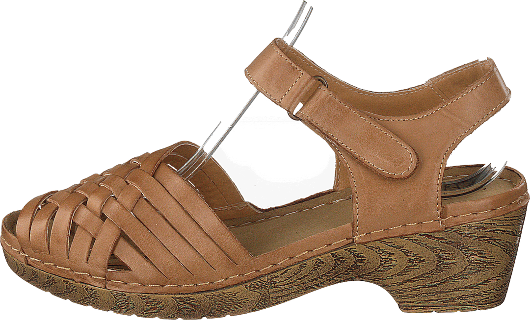 444-1031 Konjaks