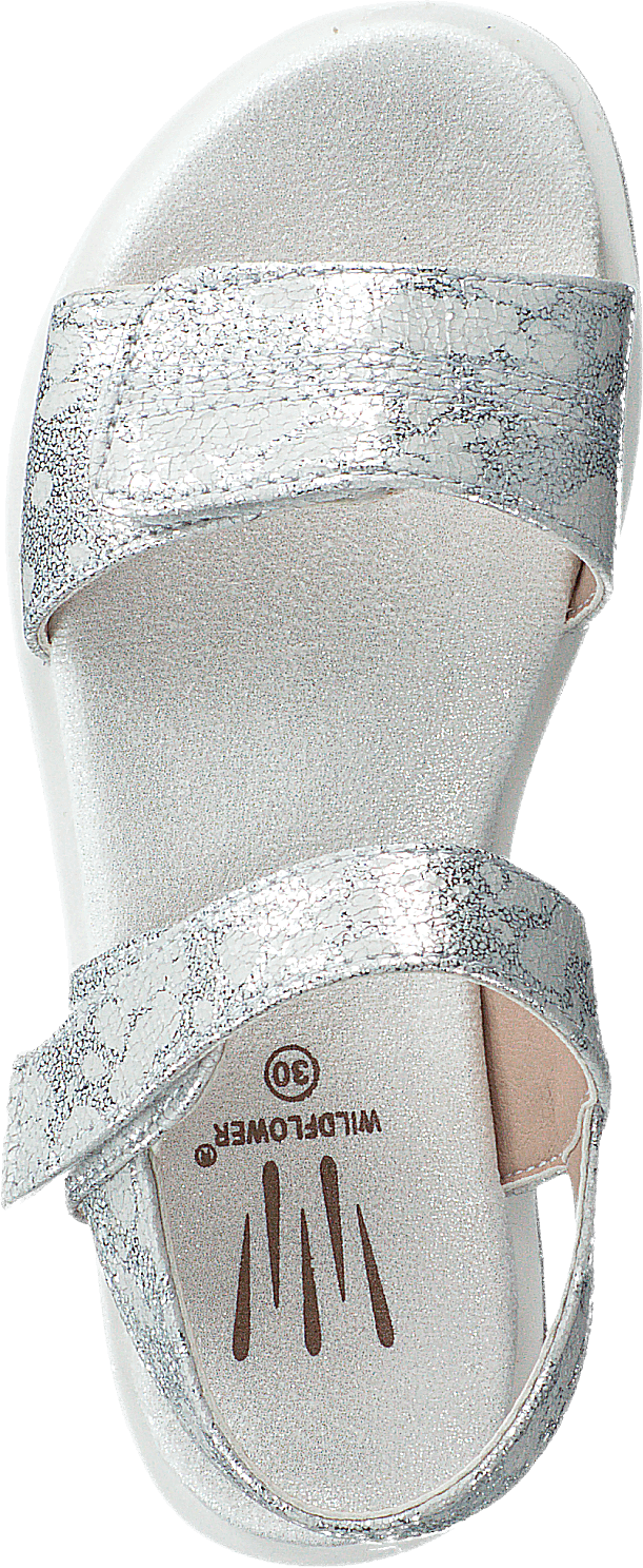 Desi Silver