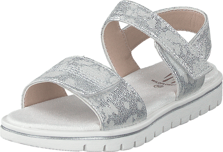 Desi Silver