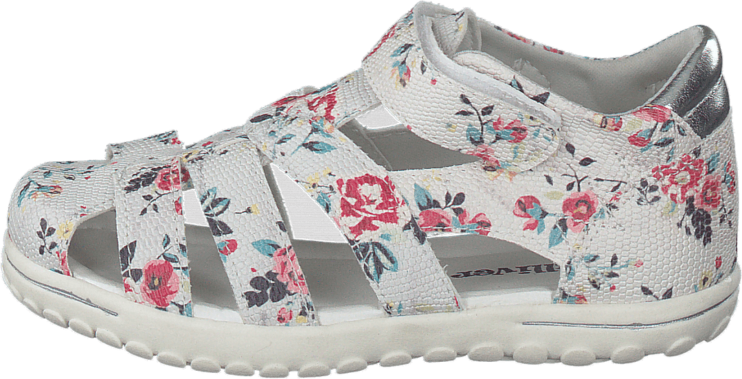 423-6038 Biela Multi