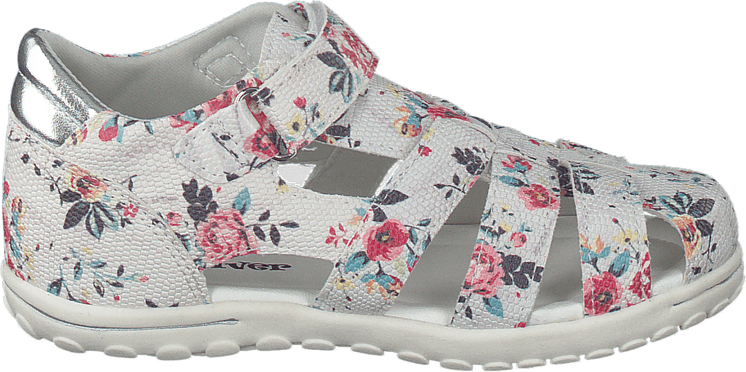 423-6038 Biela Multi