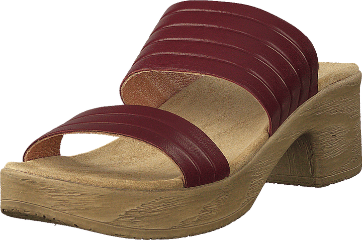 Randi Winered