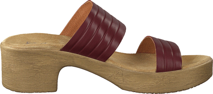 Randi Winered