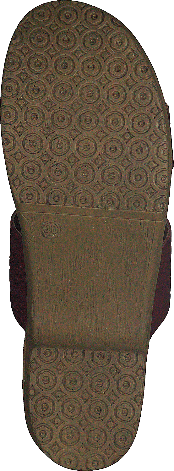 Randi Winered