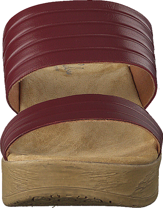Randi Winered