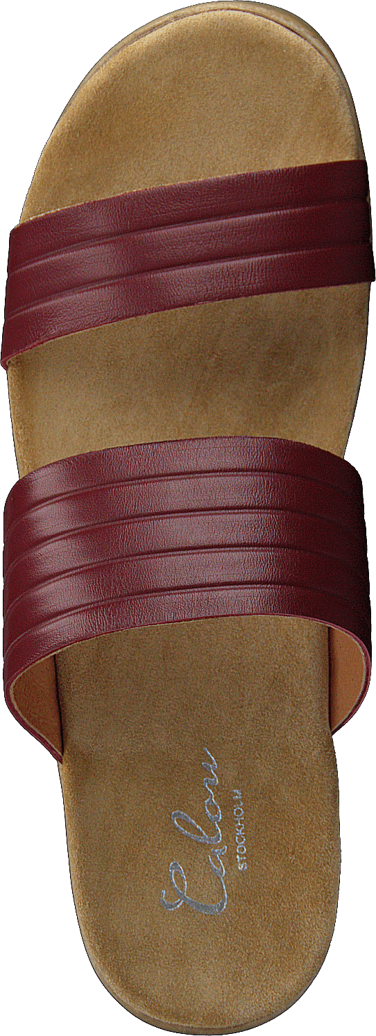 Randi Winered