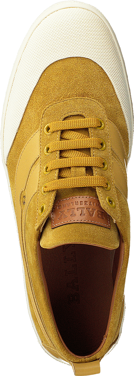 Shennon Gold Sand
