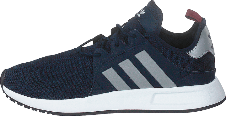 X_plr Conavy/silvmt/cburgu