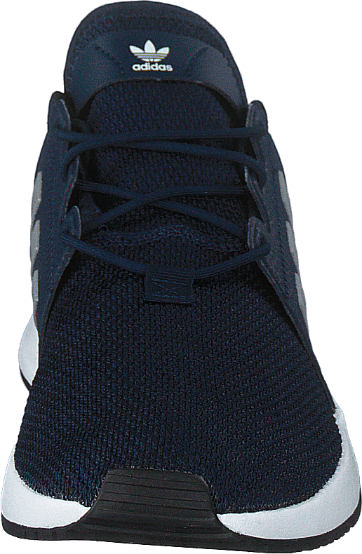 X_plr Conavy/silvmt/cburgu