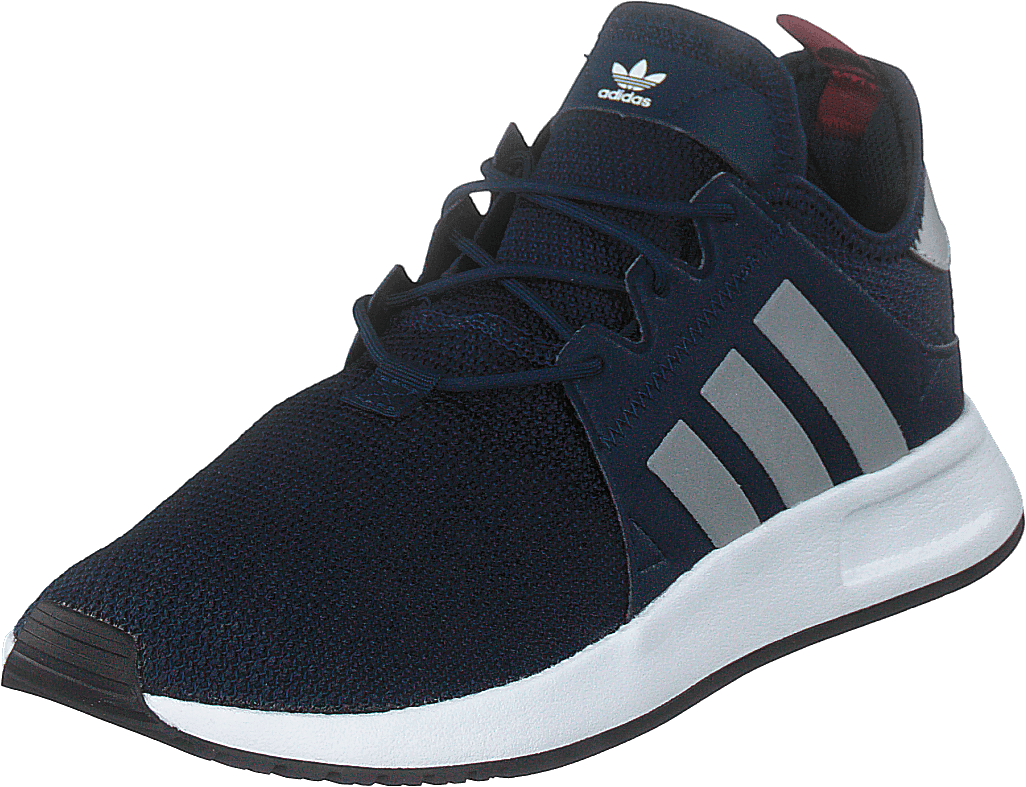 X_plr Conavy/silvmt/cburgu