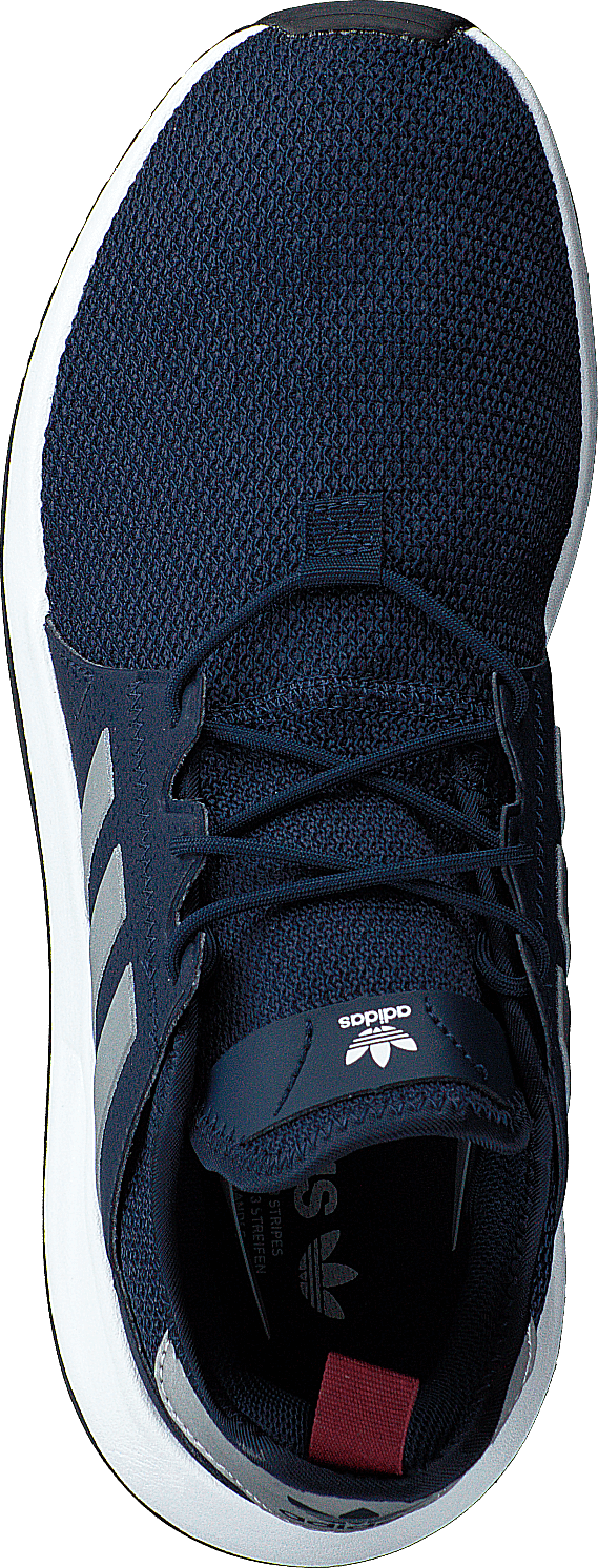 X_plr Conavy/silvmt/cburgu