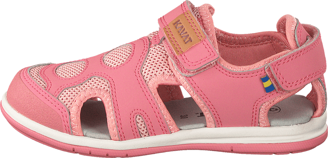 Vallby Wp Erdbeere Rose