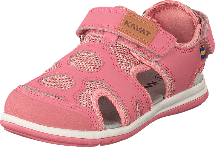 Vallby Wp Erdbeere Rose