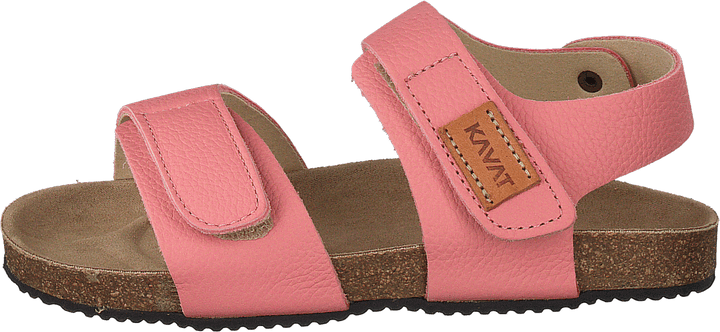 Boomhouse Ep Strawberry Rose